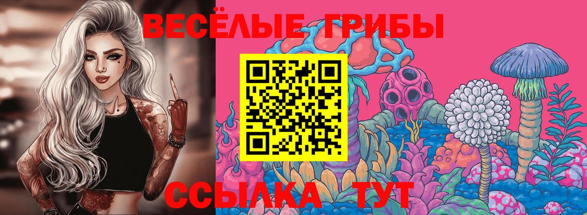 Псилоцибиновые грибы Magic Shrooms  Псилоцибиновые грибы Cubensis  Феодосия  Вход с VPN 