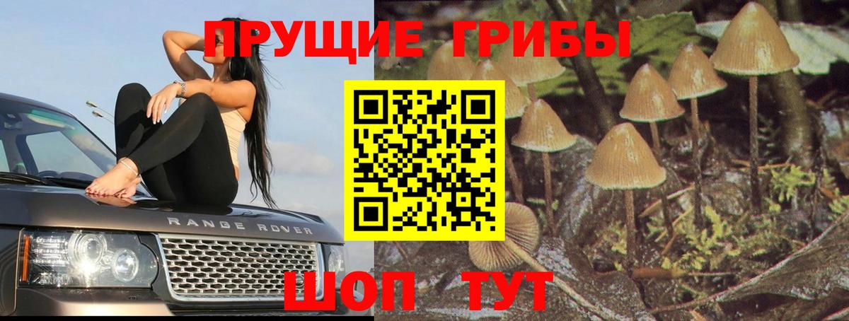Псилоцибиновые грибы Cubensis Феодосия